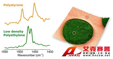 PS-LDPE聚合物混合物上的共振增強AFM-IR光譜